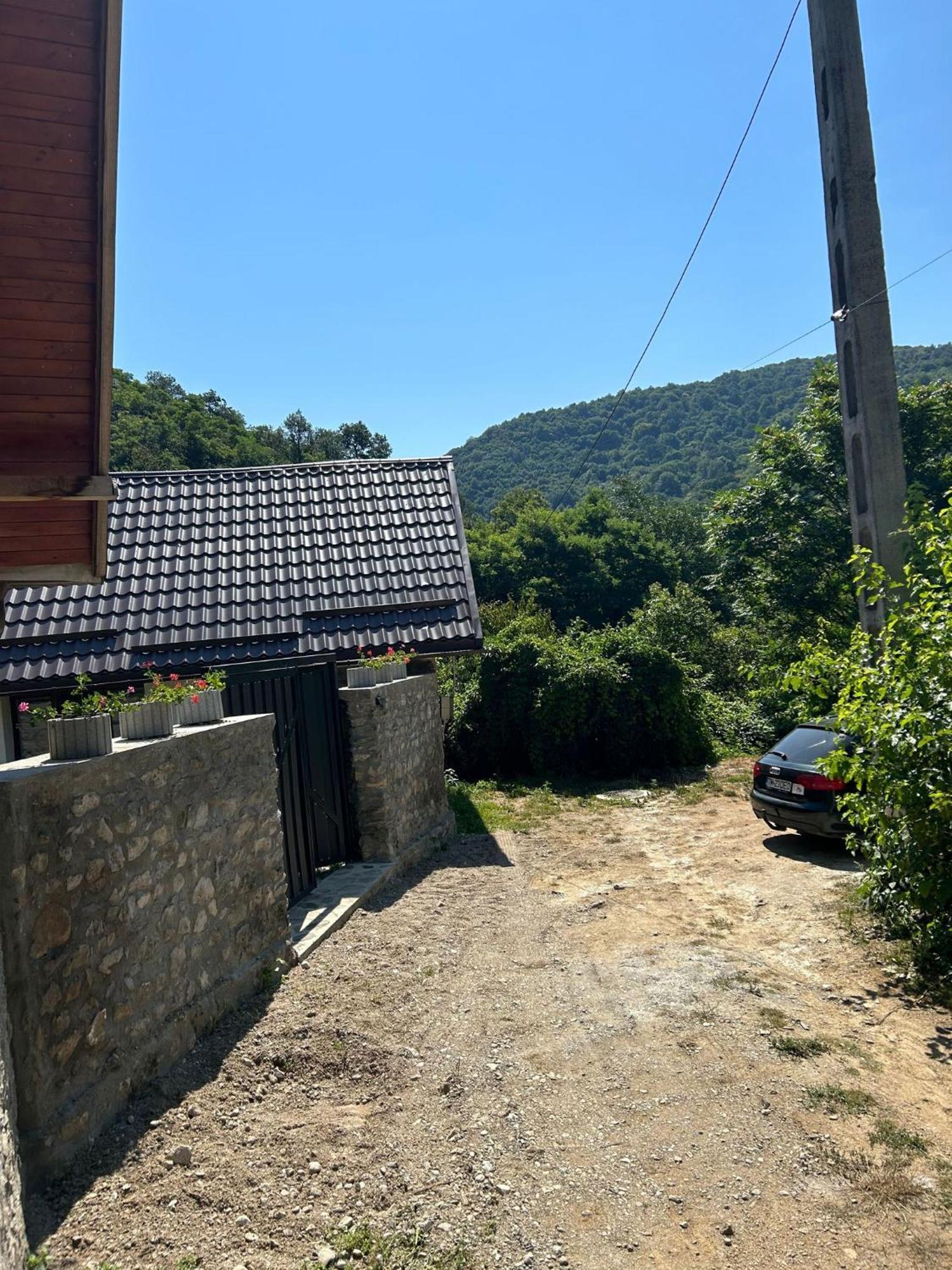 Villa Casa Noua Sasca Montană Exterior foto
